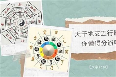 測五行缺|生辰八字算命、五行喜用神查詢（免費測算）